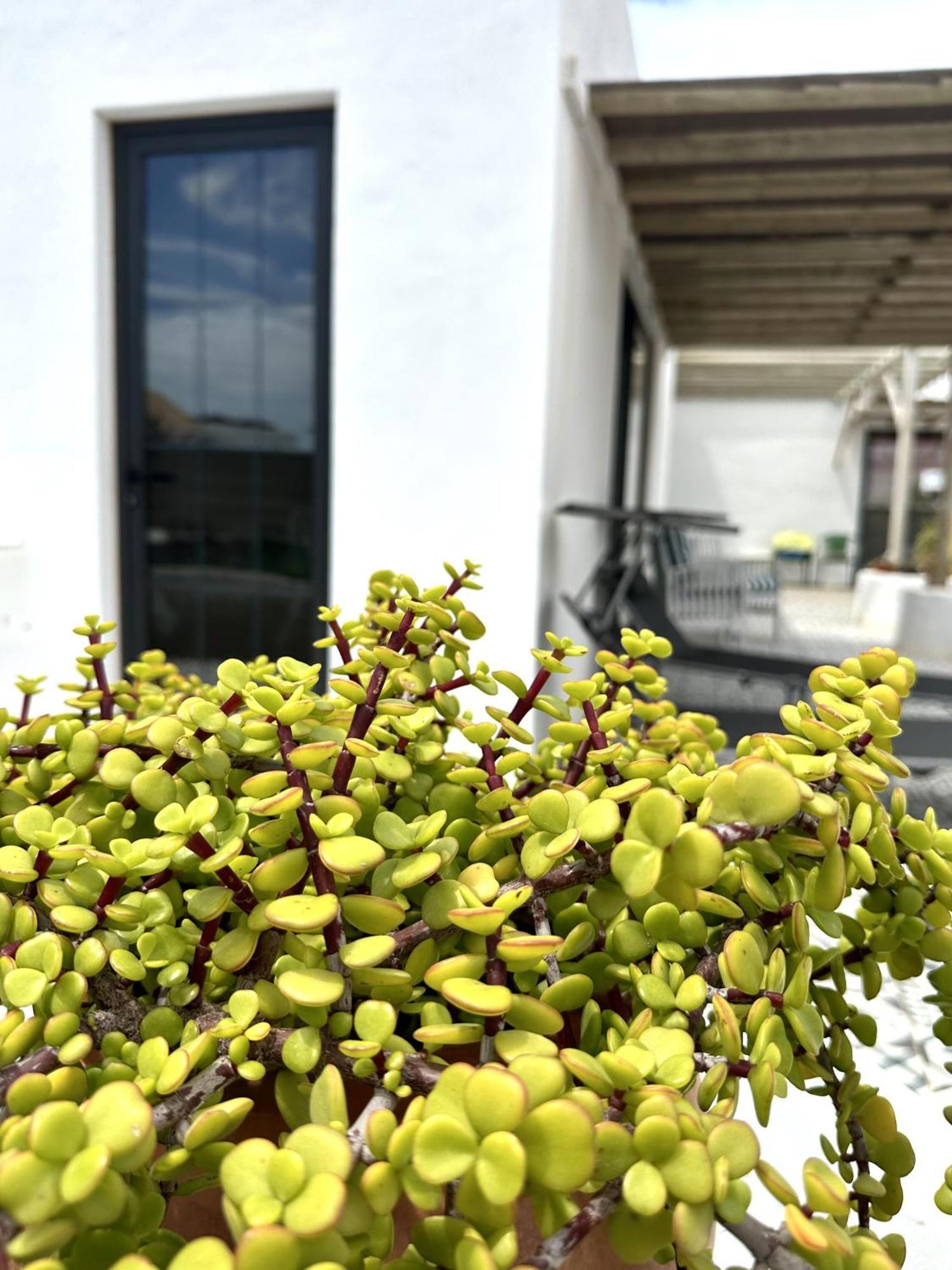 Casita Tiare Lajares Apartamento Exterior foto